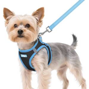 lot 4205 image: rabbitgoo Dog Harness Small Sized and Leash Set, Step-in Breathable Pet Harness, Soft Walking Reflective Puppy Vest for Small Dogs, Black & Light Blue, XS