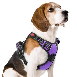 lot 12296 image: rabbitgoo Dog Harness Medium Sized, No Pull Easy On & Off with 3 Buckles Pet Harness, Adjustable Soft Walking Vest with 2 Clips and Handle, Reflective for Medium Dogs, Purple, M