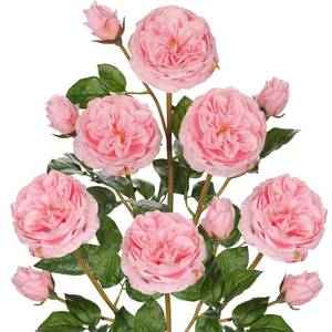 lot 19701 image: Arborus Real Touch Artificial Roses (Set of 6) �� 23.6 Long Stem Pink Garden Roses �� Lifelike Faux Silk Flowers for Wedding Bouquets, Home D�cor, Centerpieces & Floral Arrangements