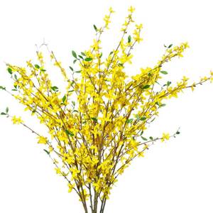 lot 6374 image: Sggvecsy Fake Forsythia Stems Artificial Orchids Flowers 4 Pcs Fake Forsythia Branches Fake Faux Long Stem Flowers Yellow Silk Forsythia Branches for Home Wedding Indoor Outdoor Decoration