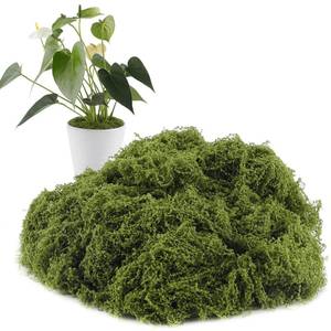 lot 6460 image: Yomirduy Artificial Moss for Crafts, 5.3OZ Fake Green Moss for Potted Plants, Faux Moss Decor for DIY Decorative, Walls,Table Centerpieces Decor Fairy Garden Model Making (150g)