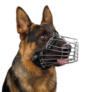 lot 6482 image: BRONZEDOG Wire Dog Muzzle German Shepherd for Medium Large Dogs Adjustable Durable Metal Basket for Biting Chewing Barking (L)