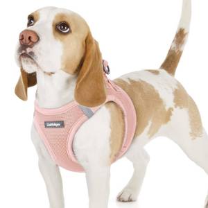 lot 14331 image: rabbitgoo Small Dog Harness, Step-in Easy On Soft Light Puppy Vest with Breathable Mesh for Walking, Safe Reflective Pet Harness for Small Sized Dogs, Pink M