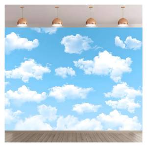 lot 14362 image: Polyester 8x6FT Blue Sky White Cloud Photo Background World Travel Aviator Children Birthday Party Photography Backdrop Decor Wedding Newborn Baby Shower Photo Studio Props