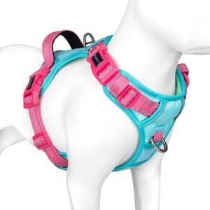 lot 20251 image: PHOEPET No Pull Dog Harness, Unique Colors Reflective Adjustable Dog Vest, with Soft Training Handle Metal Clips for Small Medium Large Dogs (Mint Green Base & Pink Straps,M)