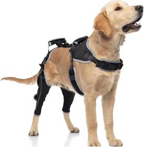 lot 20270 image: TIPOOP Dog Knee Brace for ACLCCL Injuries,Torn Ligament,Luxating Patella - Rear Leg Support,Pain Relief,Joint Warmth,Black,Upgraded,Both Legs,SizeL