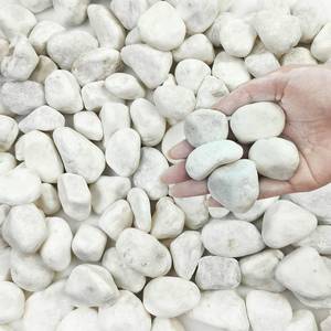 lot 4336 image: FANTIAN 5 lbs White River Rocks for Plants, 1-2 Inch Pebbles for Indoor Plants, Decorative Gravel Stones for Succulent, Cactus, Landscaping, Vases, Aquariums, Crafting and Garden