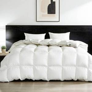 lot 19803 image: Feather Down Fiber Comforter Queen Size,Premium Ultra-Soft Breathable Comforter High Fill Power White Duvet Insert,All Season Hotel Bedding Comforters (Ivory WhiteAll Season, Twin)
