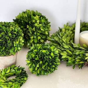lot 4483 image: BOXWOOD VALLEY Boxwood Decorative Ball Preserved Real Boxwood Leaves Green Plants Home Decors for Christmas Thanksgiving Days Gifts Stay Fresh for Years Indoor Use Only (Small Ball, 6 inch)