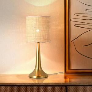 lot 5525 image: Ziqqeelam Gold Rattan Table Lamp for Bedroom, Brass Cute Wicker Lamps for Bedside Nightstand, Small Table Shape Lamps for Small Spaces for Kitchen Counter, Home Office, Living Room, Kids Dorm
