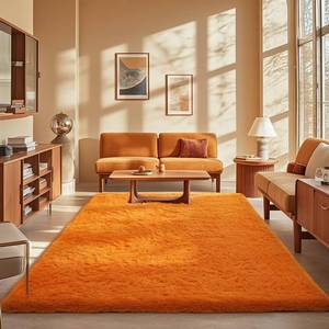 lot 11396 image: Ophanie Orange Rugs for Living Room Bedroom, 5x8 Fluffy Fuzzy Furry Carpet, Plush Soft Shaggy Bedside Indoor Floor Area Rug for Kids Girls Boys Baby Teen Dorm Nursery Home Decor Aesthetic