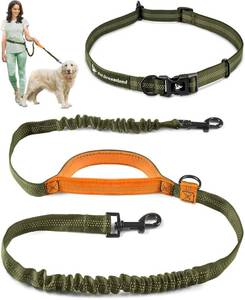 lot 12222 image: Pet Dreamland Trending Hands-Free Dog Leash for Large Dogs. Ultimate Comfort & Freedom. Premium Quality & Versatile Waist Belt. Your Dog Will Absolutely Love This Amazing Leash (Khaki & Orange)
