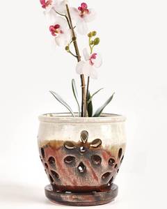 lot 12394 image: vensovo 5 Inch Ceramic Orchid Pots with Holes and Saucers - 1 Pcs Small Succulent Pot for Repotting, Garden Flowerpots for Plants Indoor and Outdoor Promotes Air Circulation, Brown Mixed