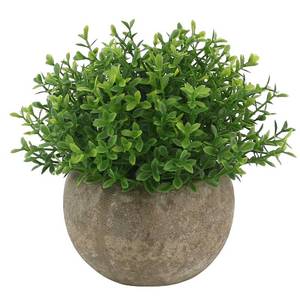 lot 14254 image: Ogrmar Mini Plastic Faux Plants in PotSmall Topiary Shrubs Fake Greenery for Bathroom, House Decorations (Green Grass)