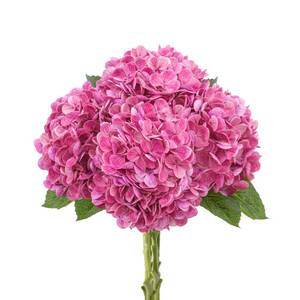 lot 1973 image: LINSIE 4 Pcs Artificial Hydrangea Silk Flowers with Stems, 19.7 Rose Pink Faux Hydrangeas Bouquet, 240 Petals, Suitable for Shady Places & Waterproof Fake Flower for Outdoor Wedding Home Decor