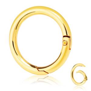 lot 6248 image: 10 Pack 1 Inch Gold Spring O Rings, Metal Keychain Ring Round Carabiner Clips for Replacement Purse Ring Hardware, Keyrings Buckles, Paracord Keychain Lanyard, Home Car Keyrings Attachment