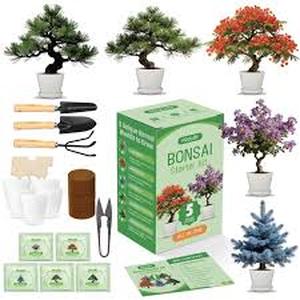 lot 9152 image: Fruivity Bonsai Starter Kit All-in-One