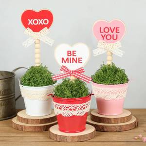 lot 2296 image: Sariiraw Valentine Decorations for Home, 3 Pcs Rustic Heart Pot Set - Wooden Sign Mini Potted Plant with Lace and Gingham Ribbon for Tabletop Centerpiece, Tiered Tray, Valentinefts Day Gifts (Pink, Red, White)