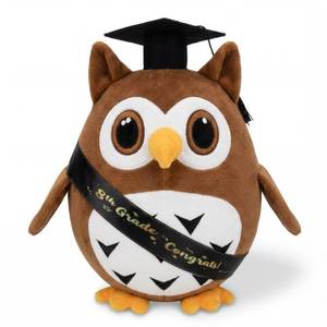 lot 6447 image: Foilswirl Large 12 Inch Wisdom Owl 8th Graduation Gift 2026 Wisdom Owl Stuffed Animal Playthings with Cap Sash Graduation Gift to Express Congratulations for 8th Grade Graduate 15 Years Old