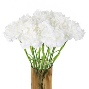 lot 11521 image: INSUNSIX White Carnations Artificial Flowers 15PCS Carnations Flowers Silk Flowers 21.25in Fake Flowers for Wedding Home Table Centerpieces Floral Arrangements(White)