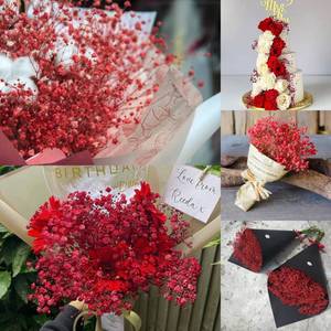lot 12240 image: 4000 Dried Red Babys Breath Flowers Bouquet, 17in Dried Flowers for Vase, Preserved Gypsophila Branches for Crafts, Wedding, Christmas, Valentine�s Day, Home Party Decor, DIY Wreath Floral(3Oz)