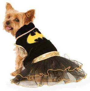 lot 20408 image: DC Comics Superheroes Batgirl Pet Costume for Dogs or Cats by Rubies, XL