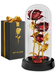 lot 5735 image: Kotko LED Light Up Rose in Glass Dome in Gift Box �� Gifts for Mom, Grandma, Wife & Girlfriend, Birthday Gifts for Women, Romantic Forever Flowers �� Lighted Rose Lamp, Battery Powered Home Decor (Red)