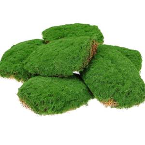 lot 14035 image: Solsew 6 Pcs Artificial Fake Green Moss for Potted Plant Indoor Waterproof Decorative Faux Moss Decor for DIY Crafts Garden Wedding Party Decoration(Fresh)
