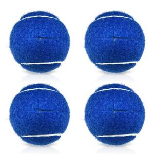 lot 14474 image: 4pcs Walker Precut Tennis Balls for Walkers Pre Cut Walker Glide Balls for Chairs Desks Furniture Legs and Floor Protection Heavy Duty Long Lasting Felt Pad Glide Coverings (Dark Blue)