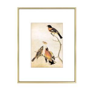 lot 20032 image: 8.5x11 Picture Frame, Brass Metal Photo Frames with HD Glass, Fits 5x7 with Mat or 8.5 x 11 without Mat, Display for Wall and Table, 1 Pack