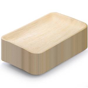 lot 3085 image: Dicunoy 20 PCS Palm Serving Plates, 14in x 9in Disposable Charcuterie Boards, Rectangle Bamboo Wood Like Platters Trays, Heavy Duty Party Plates for Dinner, Weddings, BBQ, Catering, Events