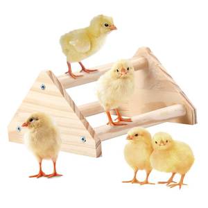 lot 4449 image: GINTUTO Wooden Chick Perch Stand, Pine Chicks Roosting Bar, Jungle Gym Perch Toys for Chicken Coop and Brooder, Bird Perch for Baby Chicks and Parrots (Small)