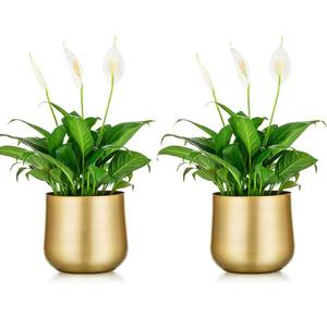 lot 11649 image: Nuptio 2 Pcs Plant Pot Gold Vase Metal Flower Pot Vase with Drainage Hole, Modern Storage Organizer Decorative Gifts for Wedding Indoor Outdoor Living Room Balcony Decoration Floor Display