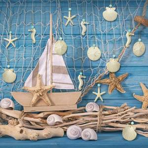 lot 12003 image: Beeveer 16 Pcs Summer Coastal Beach Ornaments Resin Sea Shell Starfish Seahorse Scallop Sand Dollars Ornaments Ocean Nautical Themed Hanging Decorations for Summer Party DIY Craft Home Decoration