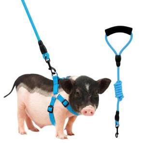 lot 12005 image: Mini Pig Harness, Adjustable Small Pig Harness with Leash Infinity Style Lead and Soft Foam Handle for Small to Medium Pet Pigs Walking Training Jogging (Blue, M)