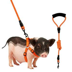 lot 12455 image: Mini Pig Harness, Adjustable Small Pig Harness with Leash Infinity Style Lead and Soft Foam Handle for Small to Medium Pet Pigs Walking Training Jogging (Yellow, M)