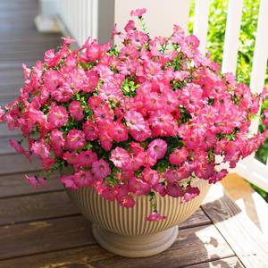 lot 18444 image: HyeFlora Artificial Flowers for Outdoors Fake Plants Outside Decoration, 12 Bundles Silk Pink Morning Glory with Eucalyptus UV Resistant Look Real Faux Flowers for Planter Front Door Yard Gardens Home