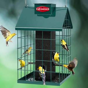 lot 19299 image: Kingsyard Squirrel Proof Caged Bird Feeder for Outdoor Hanging - Weatherproof Metal Mesh Tube Finch Bird Feeder with 4 Ports for NyjerThistle Seed, Small Birds Goldfinches, Chickadees, Green