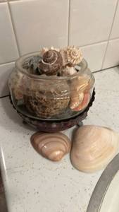 lot 50644 image: Seashell Collection in Glass Bowl with Stand