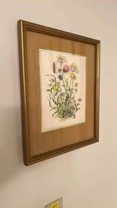 lot 715 image: Framed Botanical Wildflower Print