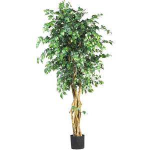 lot 59879 image: Nearly Natural 6ft. Palace Style Ficus Silk Tree - Retail - $139.99