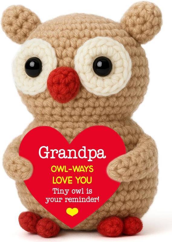 lot 9851 image: Owl Crochet Gift for Grandpa, Handmade Mini Owl for Grandfather Birthday, Cute Appreciation Present from Grandkids, Thoughtful Family Love Idea for Fathers Day Christmas