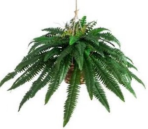 lot 15496 image: Nearly Natural Large Artificial Boston Fern Hanging Basket
