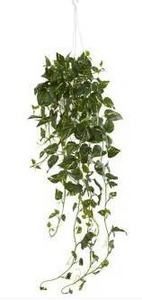 lot 15497 image: Nearly Natural Pothos Hanging Basket Artificial Plant