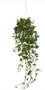 lot 15498 image: Nearly Natural Pothos Hanging Basket Artificial Plant