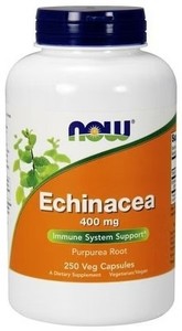 lot 3078 image: Echinacea Root Purpurea 400mg by Now Foods - 250 Capsule BB JUN 26