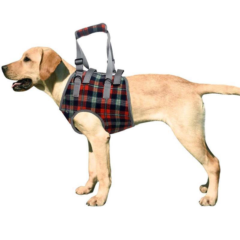 lot 3333 image: ROZKITCH Dog Lift Harness, Grid Pet Chest Support Aid Veterinarian Approved Sling for Old K9 Help With Poor Stability, Front Legs Disabled Joint Injury Elderly Arthritis ACL Rehabilitation Rehab - Retail $36