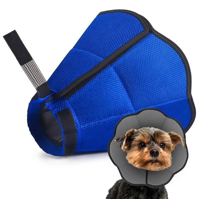 lot 3486 image: Hard & Heavy Plastic Dog Cone Collar Alternative for Small Dogs (Yorkshire Pomeranian), Adjustable Elizabethan Neck Protective Cone for Healing, Comfortable Pet Recovery Collar Cone of Shame Anti-lick - Retail $15