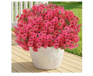lot 24010 image: Artificial Flowers Fake Plants for Outdoors Spring Decoration, 13Bundles Silk Realistic UV Resistant Faux Flowers for Outside Planter Porch Yard Patio Garden Home Indoor, Rose - Retail $20