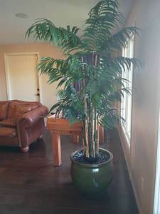lot 903 image: Faux Tree.  Approximately 7ft tall.  Pot is 18 x 19.  Very Heavy.  Bring 2 wheel dolley, friend or foe.  Located in Basement with Walkout